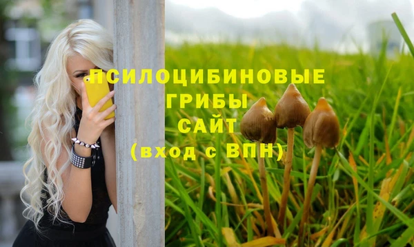 MDMA Premium VHQ Бородино