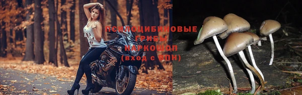 мефедрон мука Богородицк