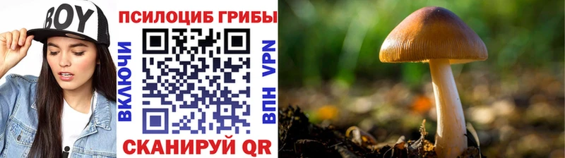 hydra ТОР  магазин продажи   Мыски  Галлюциногенные грибы Psilocybine cubensis 